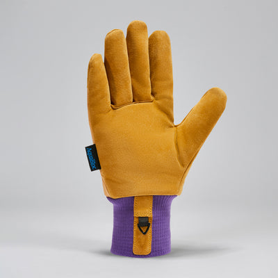 Women's MTN Guide Glove