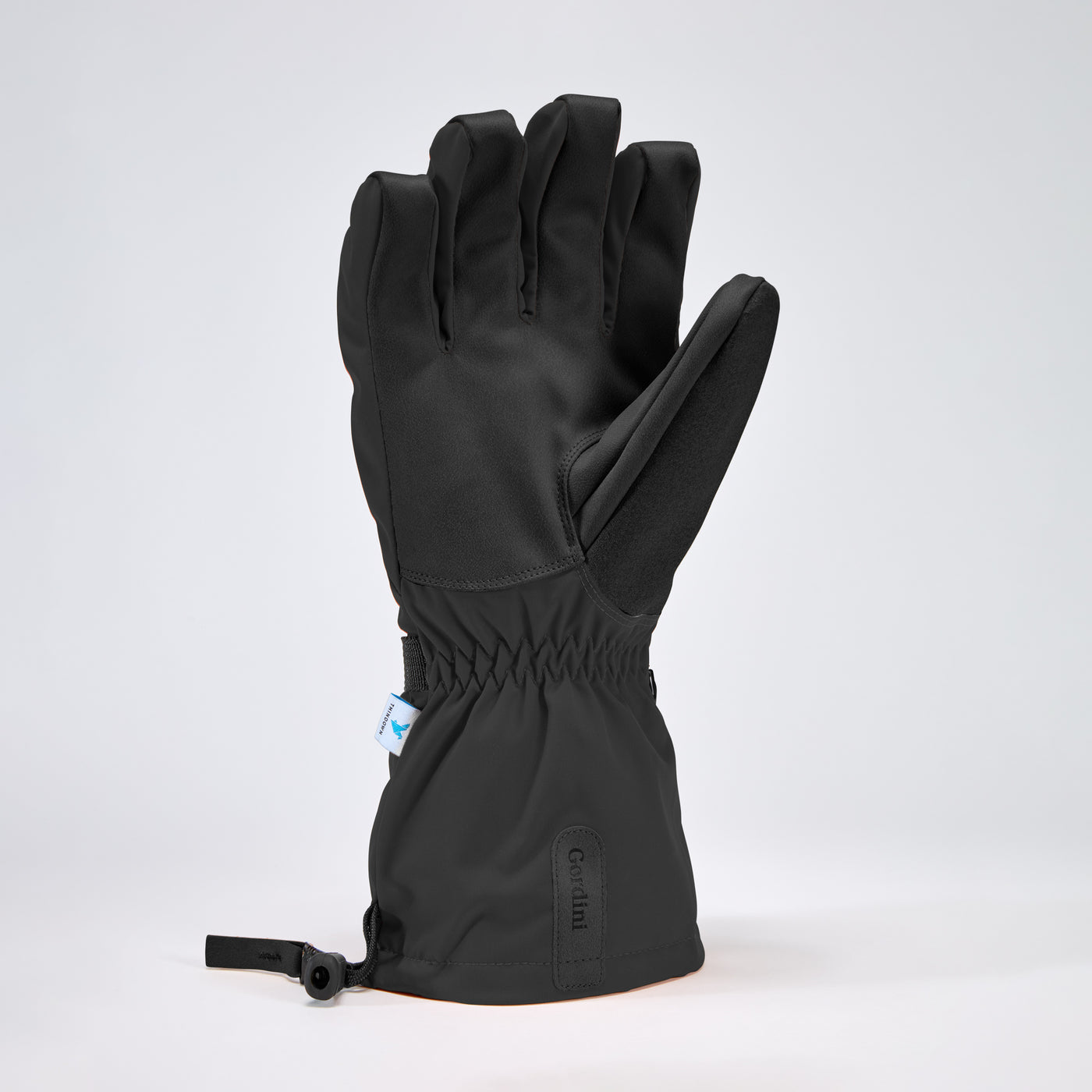Men's Windward Glove