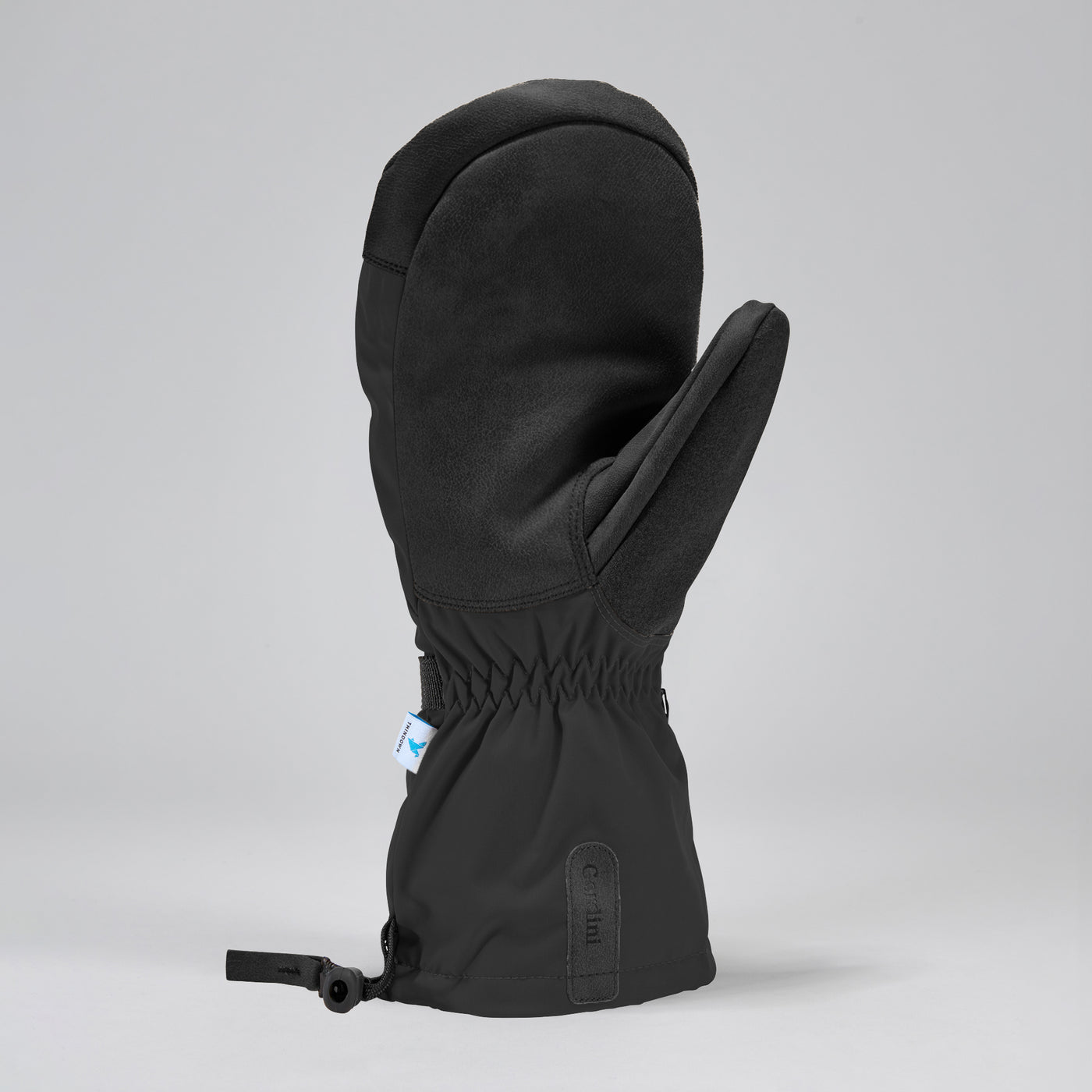 Men's Windward Mitt